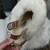 Ugg Disquette - comprar online