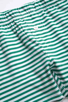 BOXER RAY STRIPES (Talle 4 al 12) (V2501241) en internet