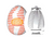 Masturbador Egg Magical Kiss - Tube