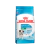 ACC SHN MINI PUPPY/JR 2,5KG