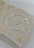 Pulseira Cartier Delicada - Banhada em Prata