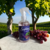 Aromatizador Textil Saphirus "Uva" x 250 ml