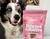 BUDDY NUTRITION DENTES & HÁLITO - 160G - comprar online