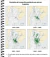 Imagen de CUADERNILLO DE INTENSIFICACIÓN 5TO. AÑO