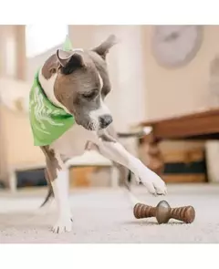 BENEBONE ZAGGLER BACON - loja online