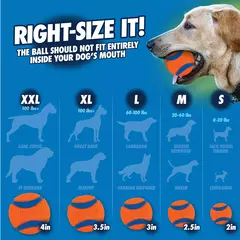 Imagem do CHUCKIT ULTRA SQUEAKAIR BALL LARGE - 1 unidade