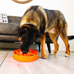 KONG LICKS MEALTIME - Grande - comprar online
