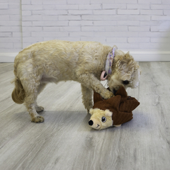 KONG LAYERZ FORAGE - Porco Espinho - JoliPets