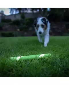 CHUCKIT ULTRA FETCH STICK GLOW - comprar online