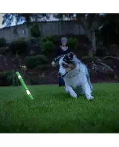 CHUCKIT ULTRA FETCH STICK GLOW na internet
