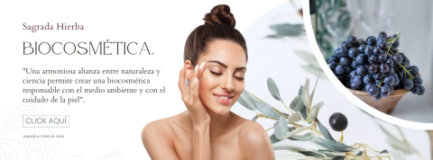 Imagen del carrusel 1