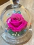 Rosa Eterna Rosada