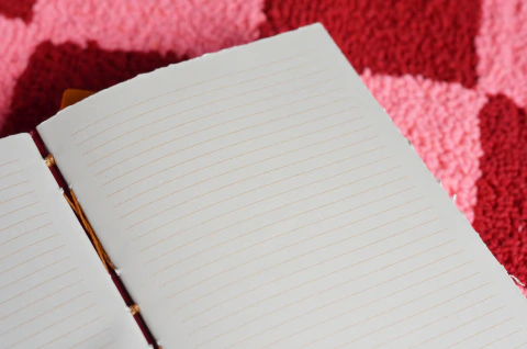 Imagem do Caderno Incomensuráveis