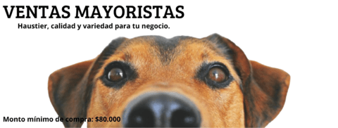 Carrusel 1