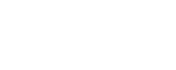 Pineal Oficial - Streetwear Online Store