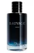 PERFUME SAUVAGE DIOR 100ml - MASCULINO EAU DE TOILETTE - (cópia) on internet