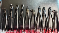 Forceps Adulto Negro