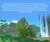New Pokémon Snap - Nintendo Switch (Lacrado) - comprar online