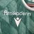Camisa Santiago Wanderers Titular 23/24 - Versão Torcedor - MeuManto.com | Camisas de Futebol