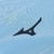 Camisa Lazio Titular 24/25 - Versão Torcedor
