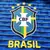 Camisa Brasil Reserva 24/25 - Versão Jogador - loja online