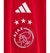 Camisa Ajax Titular 23/24 - Versão Torcedor - MeuManto.com | Camisas de Futebol