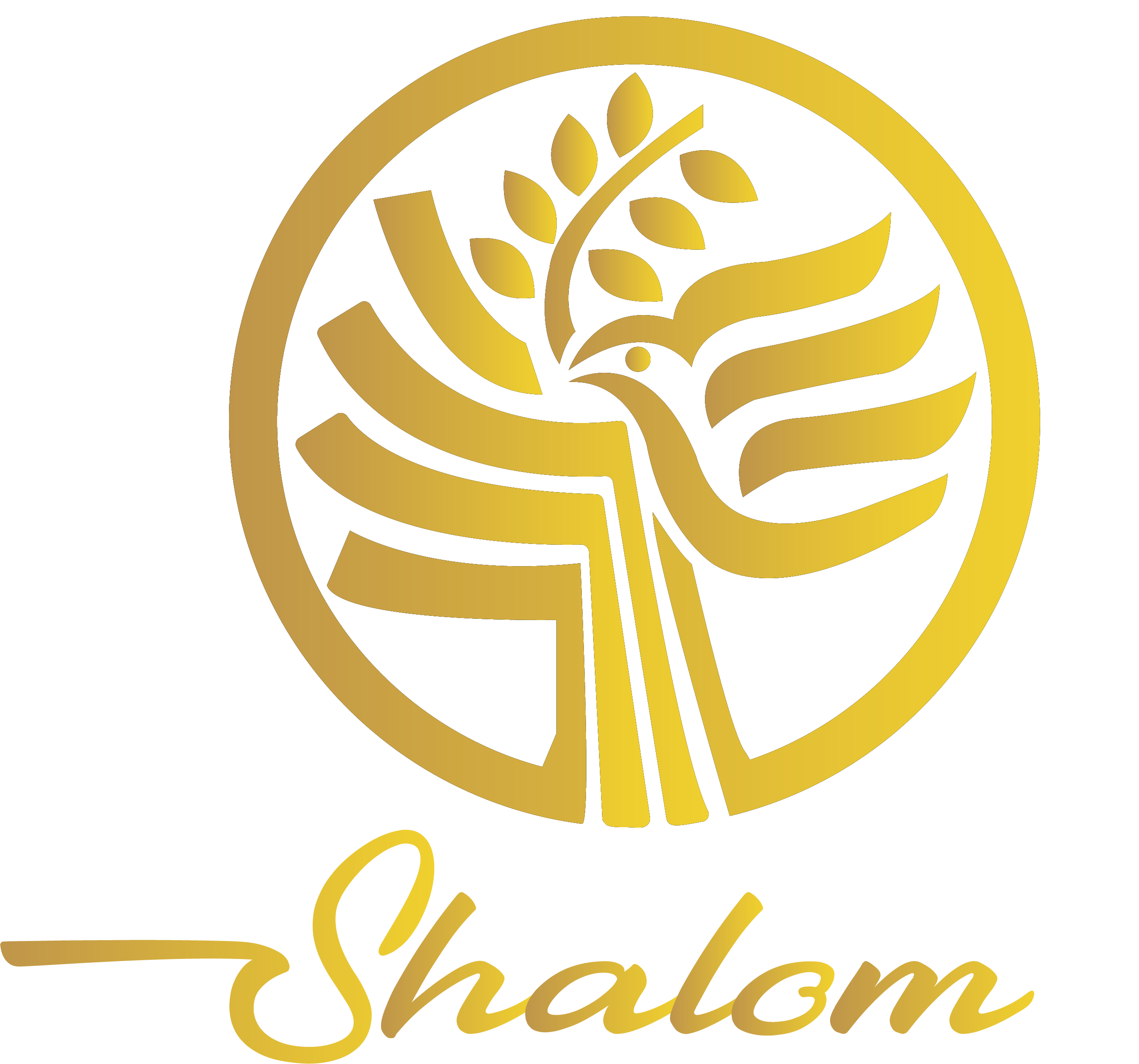 Shalom SA