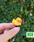 pato 3D