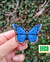 mariposa azul