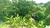 Finca Casa Río en San Juan - SELVAMAR 