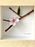 Flor de Cerejeira - comprar online