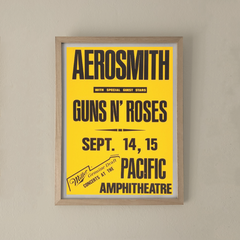 GUNS & ROSES - AEROSMITH en internet