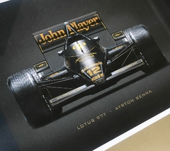 SENNA 02