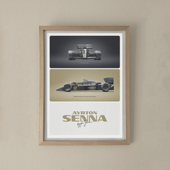 SENNA 02 en internet