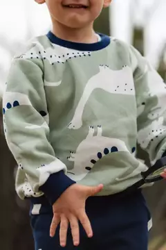 Conjunto Dinosaurio en internet