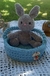 Cesta com alça e coelho pelucia - comprar online