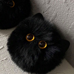 CHARM SALEM en internet
