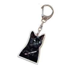 CHARM SASSY CAT