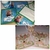 SETS DE JARDIN PERSONALIZADOS - tienda online