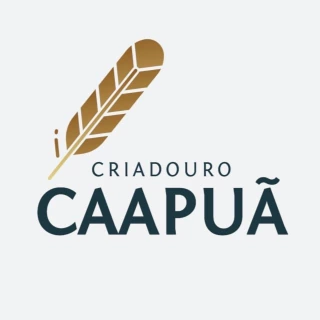 Criadouro Caapuã