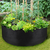 Saco de Cultivo para Plantio em Feltro - comprar online