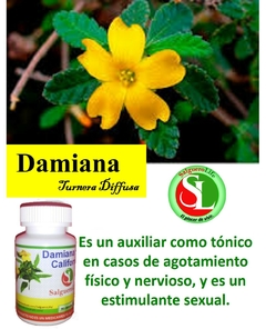 Damiana de California 90 Cáps - SalgueroLife