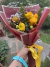 BOUQUET PROFUNDIDAD on internet