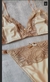set paula