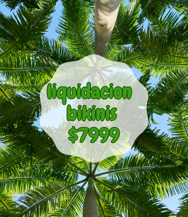 liquidacion bikinis 