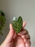 Ímã folha verde e dourada