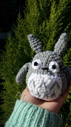 Totoro (chico)
