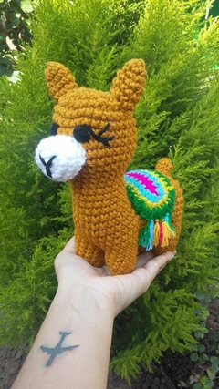 Llama (mediana)