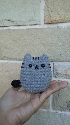 Gato Pusheen