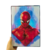 Quadro Homem-Aranha Mavel (28.5X20)